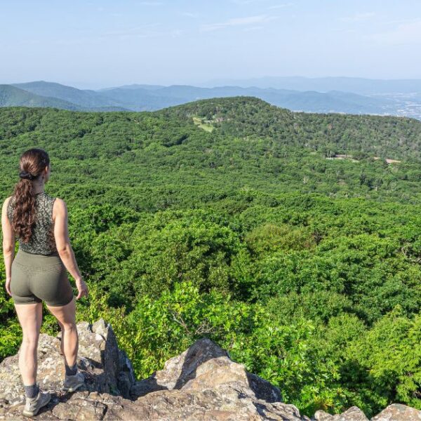 How to Hike Stony Man in Virginia [guide + tips]