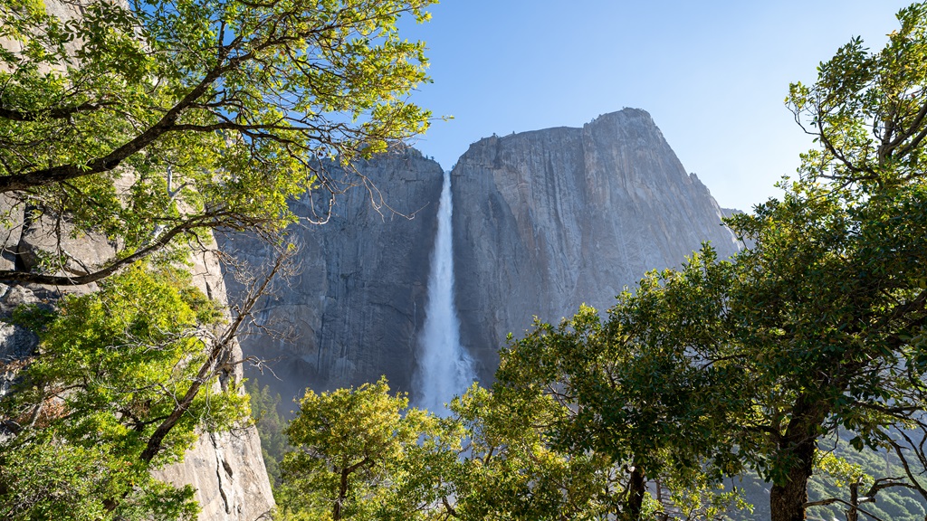 View of Upper Yosemite Falls between trees from the Upper Yosemite Falls trail.