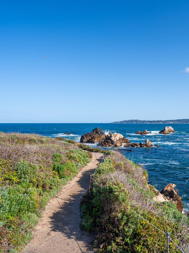 Cannery Point with views of Whalers Cove along Point Lobos Loop.