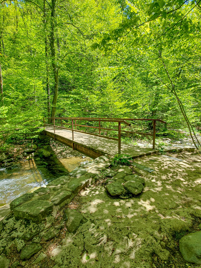 Footbridge on Cedar Run Trail in Shenandoah National Park.