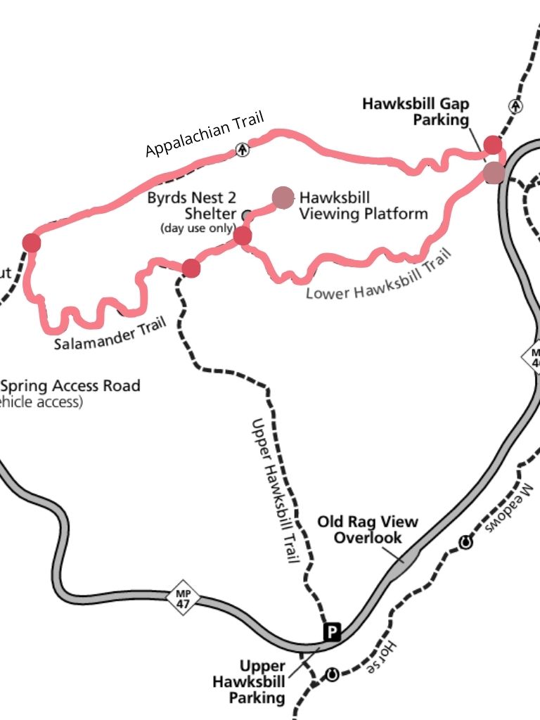 Hawksbill Loop Trail Map highlighting route from Hawksbill Gap Parking to Hawksbill Summit Shenandoah.