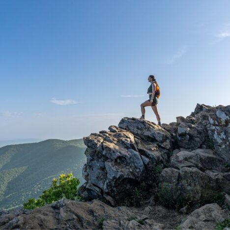 Whiteoak Canyon Falls in Virginia: Best Hiking Guide