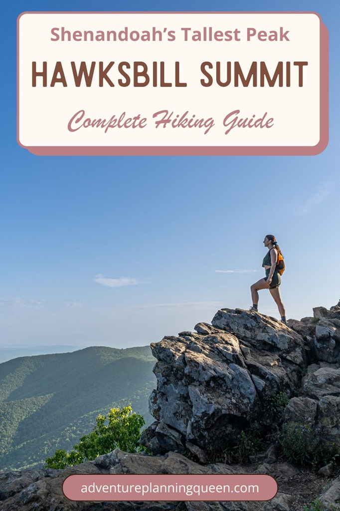 This blog post is a complete hiking guide about Shenandoah's tallest peak - Hawksbill Summit.