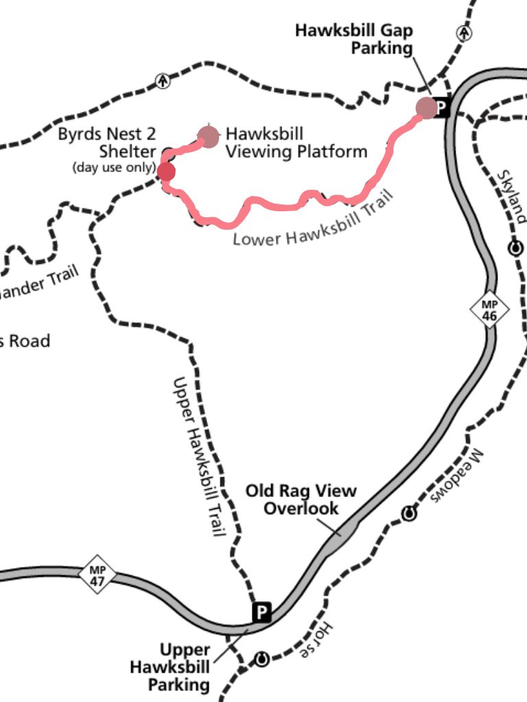 Lower Hawksbill Trail Map highlighting route from Hawksbill Gap Parking to Hawksbill Summit Shenandoah.