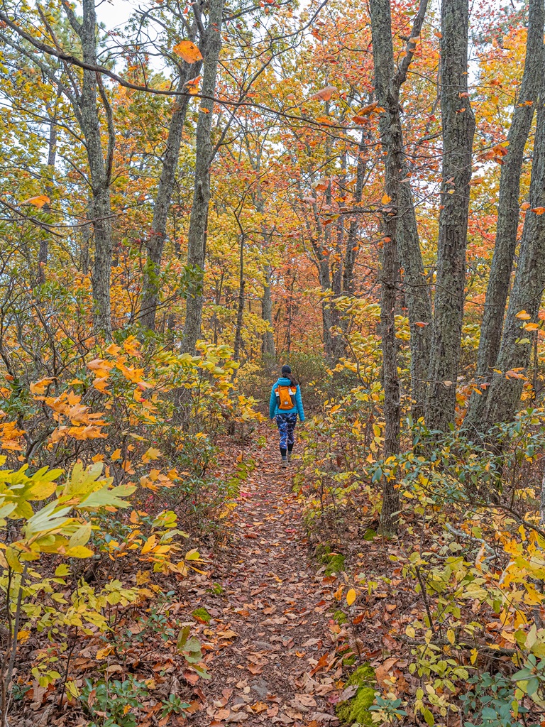 Woman hiking along the Appalachian Trail towards Tinker Cliffs in Virginia.