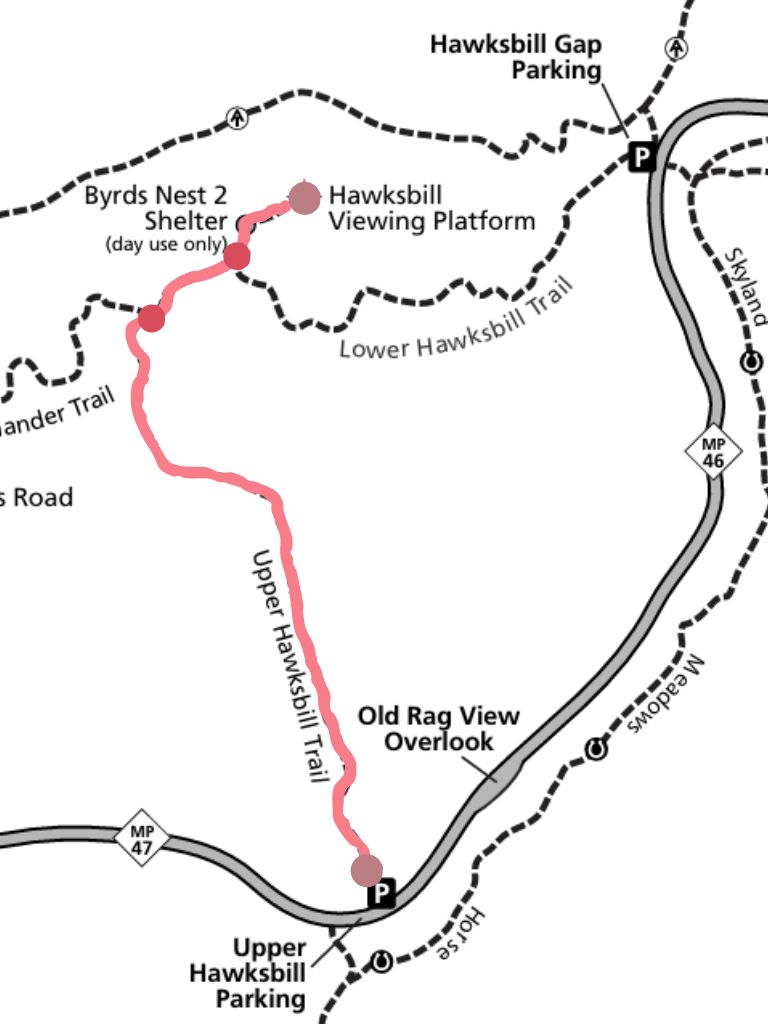 Upper Hawksbill Trail Map highlighting route from Upper Hawksbill Parking to Hawksbill Summit Shenandoah.