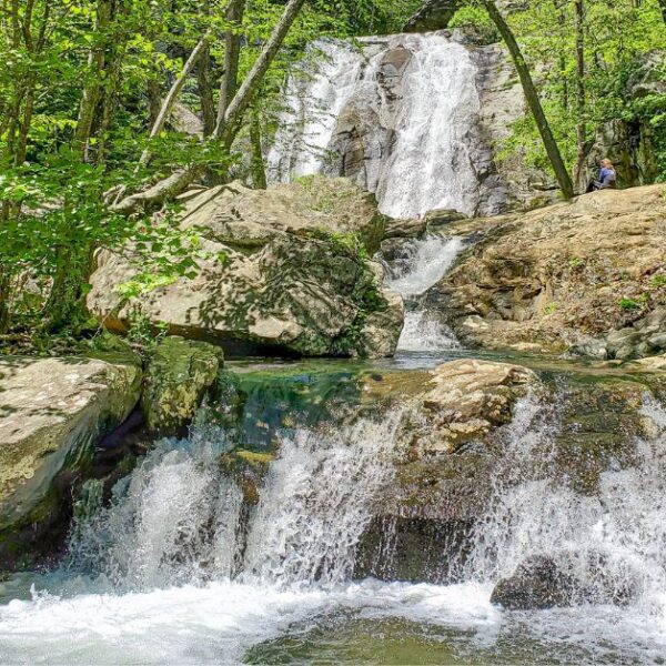 Whiteoak Canyon Falls in Virginia: Best Hiking Guide