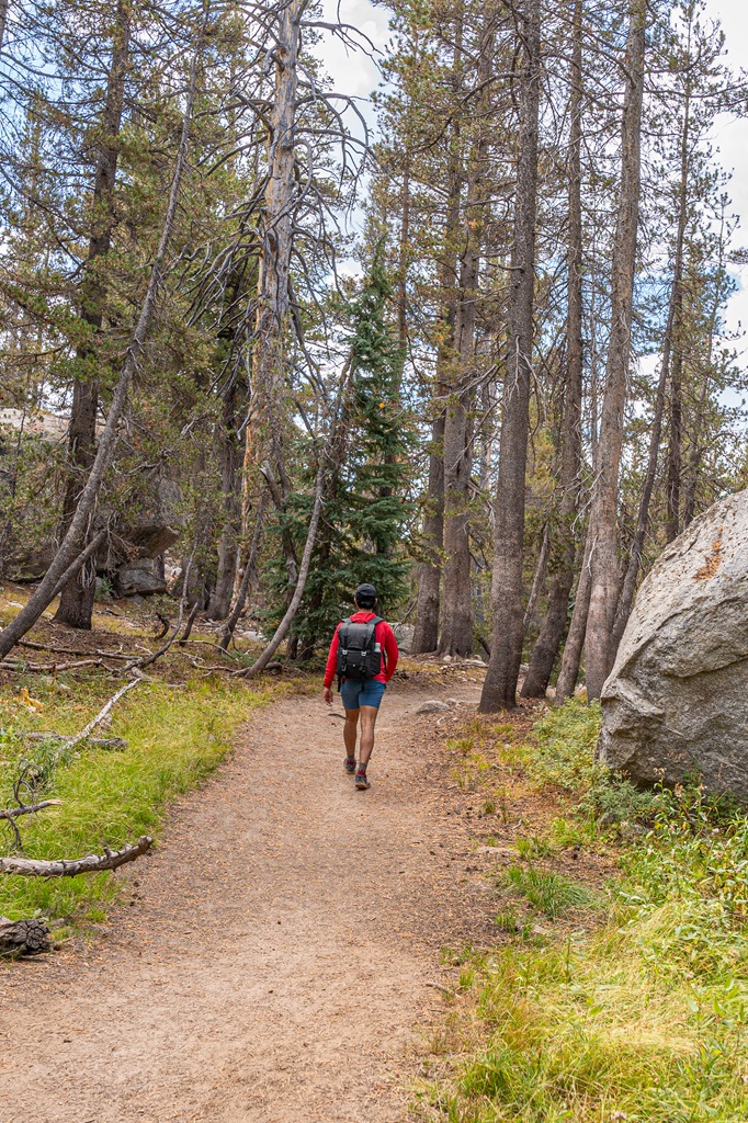 Man hiking along the John Muir Trail towards Cathedral Peaks in Yosemite.