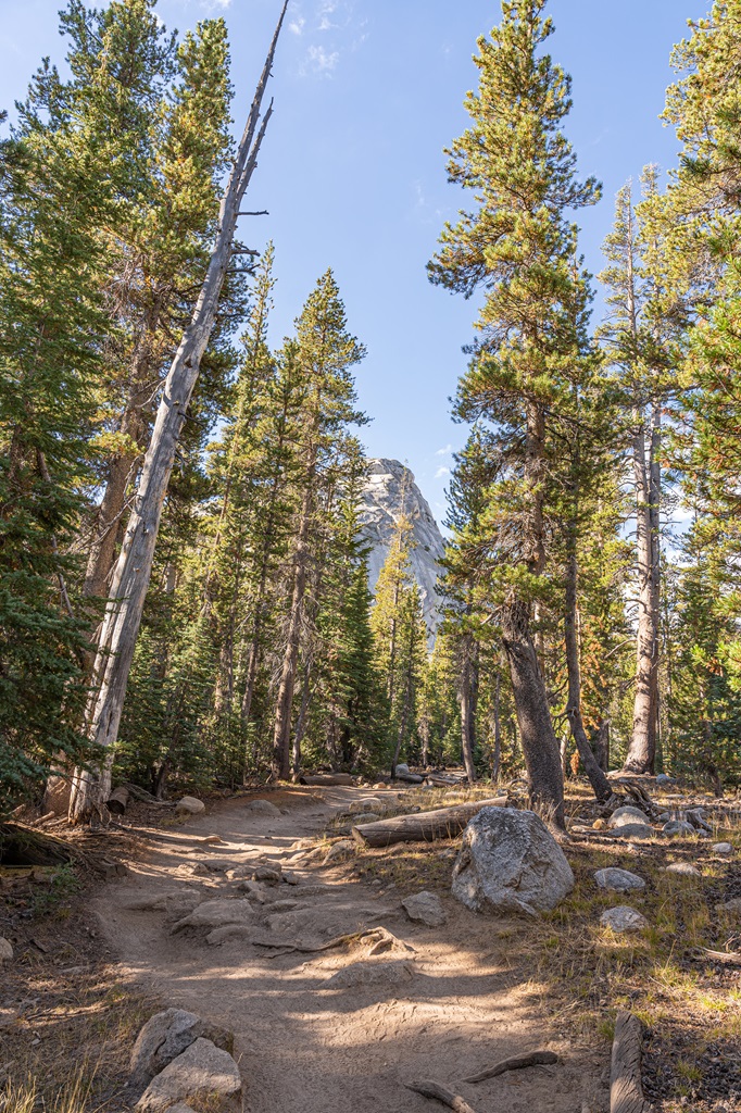 View of the north shoulder of Cathedral Peak from the John Muir Trail in Yosemite.