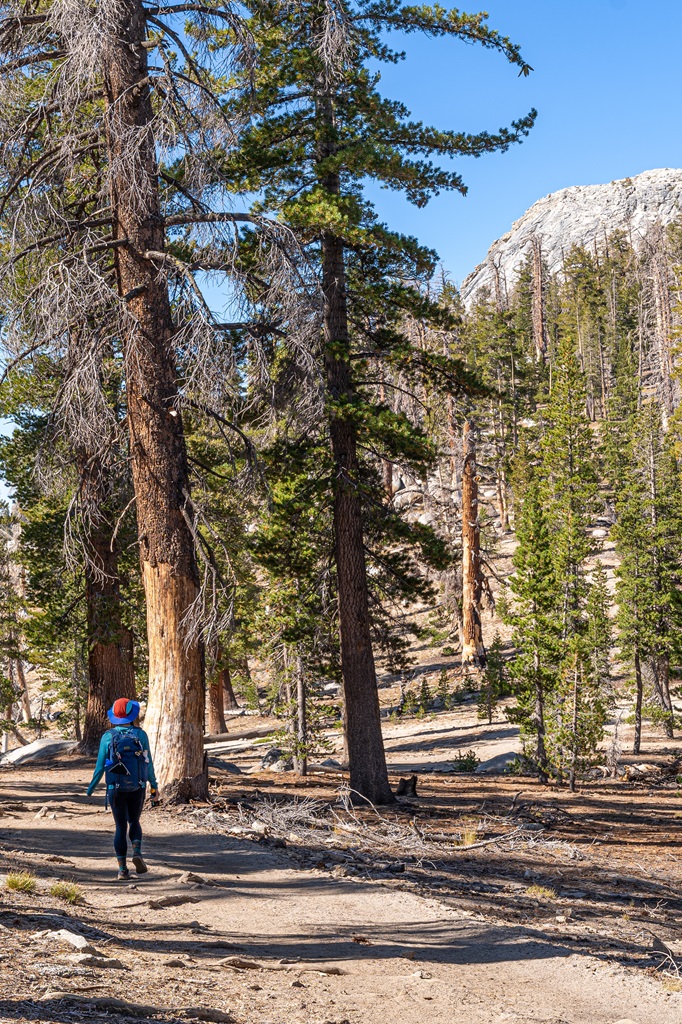 Woman hiking along the Clouds Rest Trail.