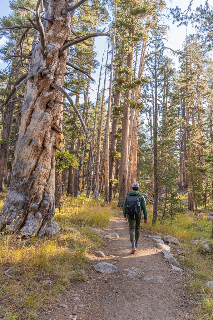 Man hiking along the Dog Lake Trail towards Dog Lake in Yosemite National Park.