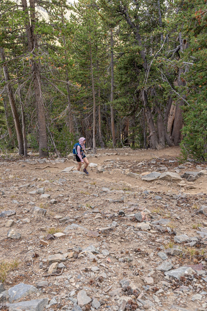 Woman hiking up switchbacks along the Gaylor Lakes Trail in Yosemite.