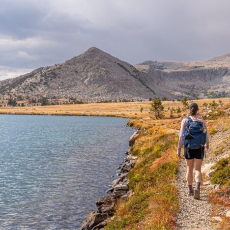 Lembert Dome Hike: Complete Guide to This Yosemite Gem