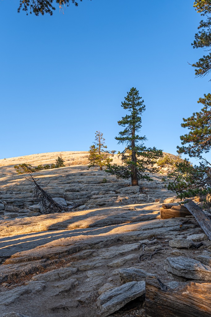 View of a false summit before reaching Lembert Dome in Yosemite.