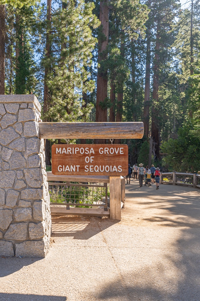 Sign that says "Mariposa Grove of Giant Sequoias" in Yosemite National Park.