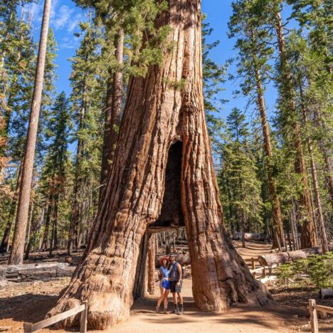 Ultimate Guide to Visiting Yosemite in May [2025]