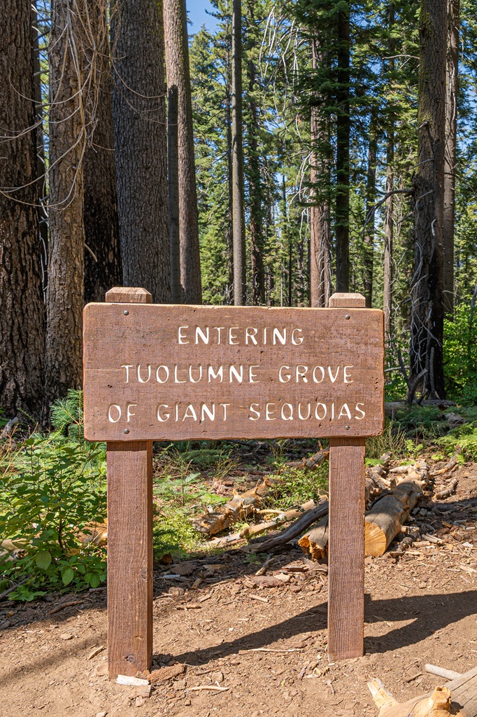 Sign that says "entering Tuolumne Grove of Giant Sequoias" in Yosemite National Park.