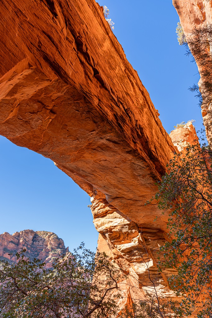 View from underneath Fay Canyon Arch in Sedona.