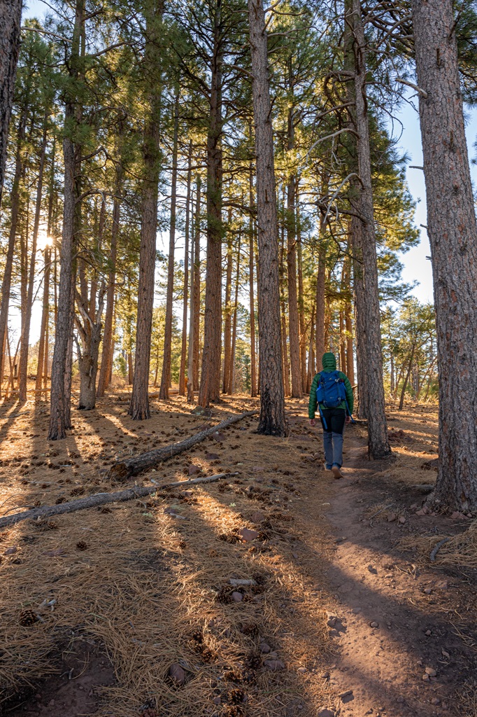 Man hiking along the trail towards the Sedona Overlook on Wilson Mountain.