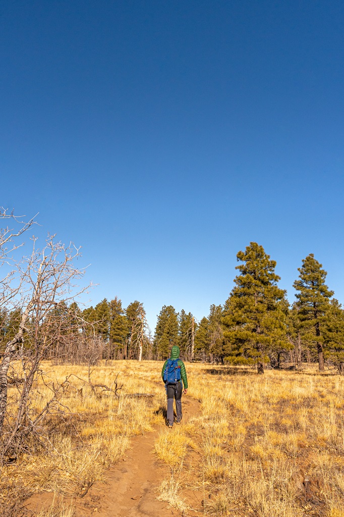 Man hiking along the trail towards North Canyon Overlook through an open grassy plateau.