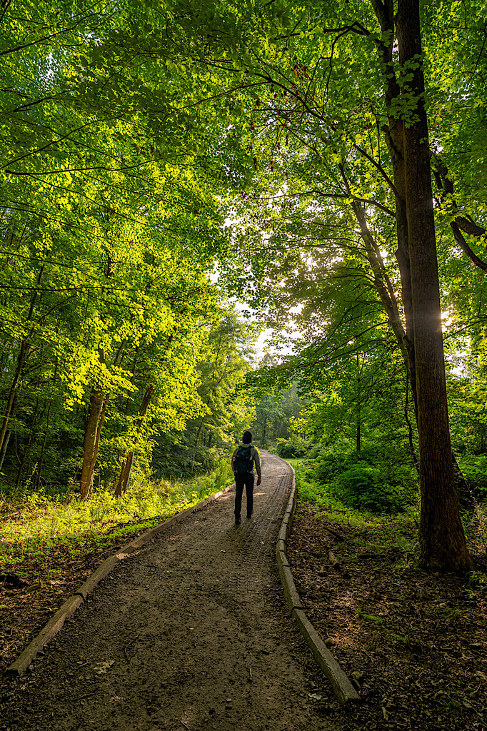 Man hiking along the Long Point Trail in New River Gorge in summer.