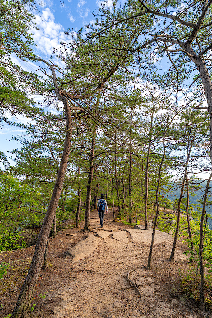 Man hiking along the Long Point Trail on the ridge section near the overlook.