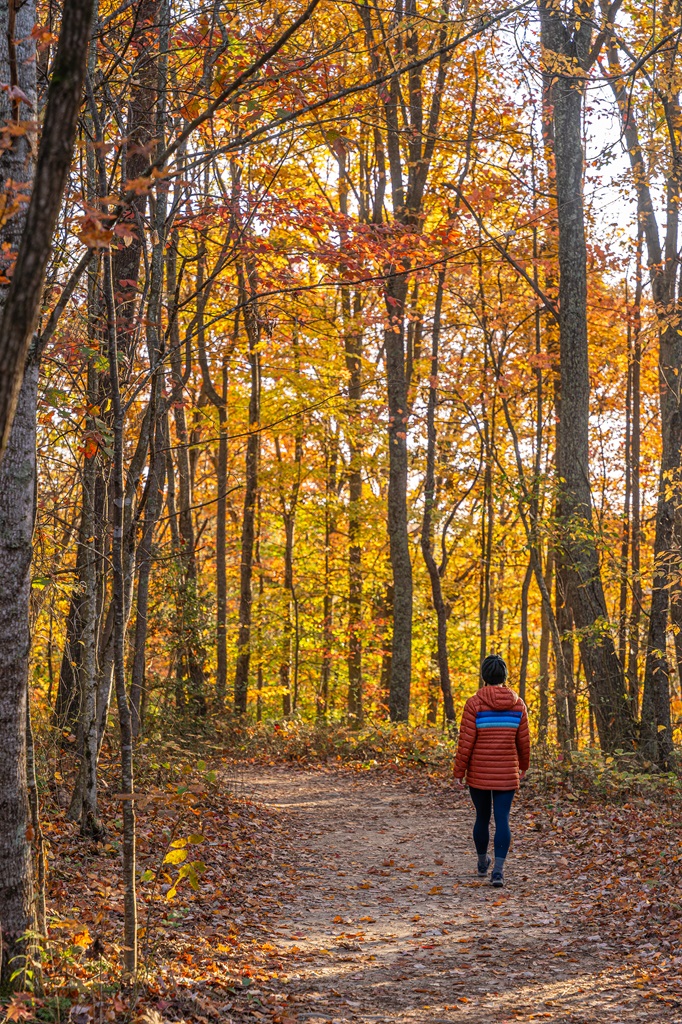 Woman hiking along the Long Point Trail in fall with trees bursting with vibrant oranges, reds, and golds.