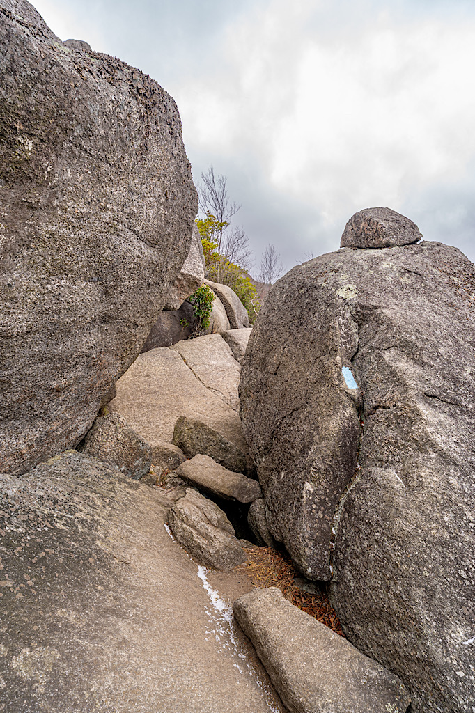 Blue trail marker painted on a rock indicating the correct way to go along the Old Rag Rock Scramble.