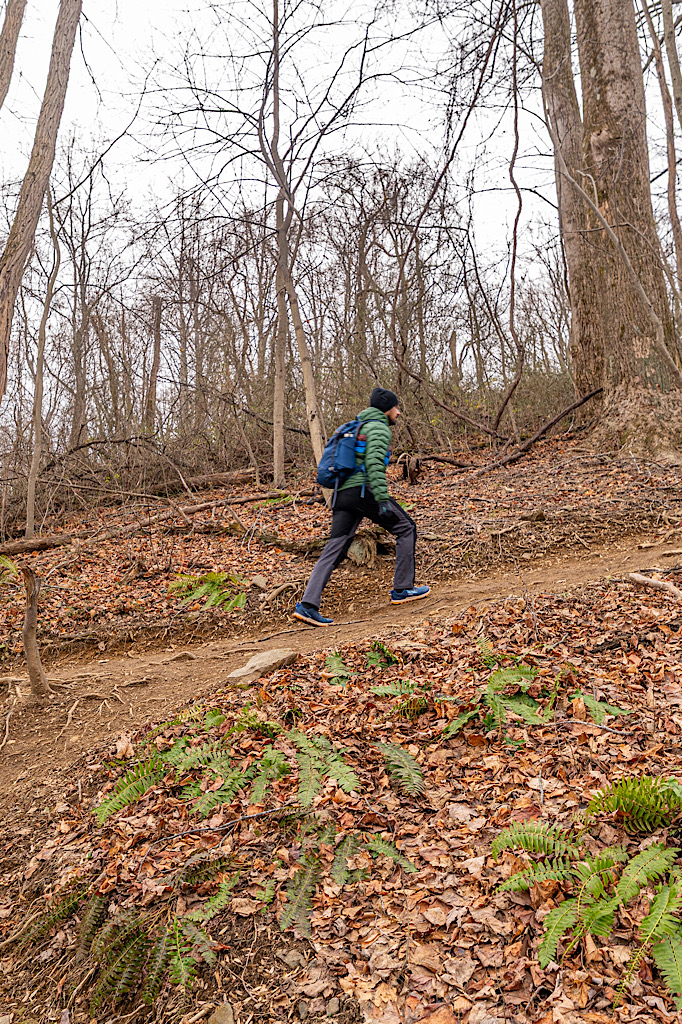 Man hiking along the Ridge Trail in winter heading towards the summit of Old Rag.