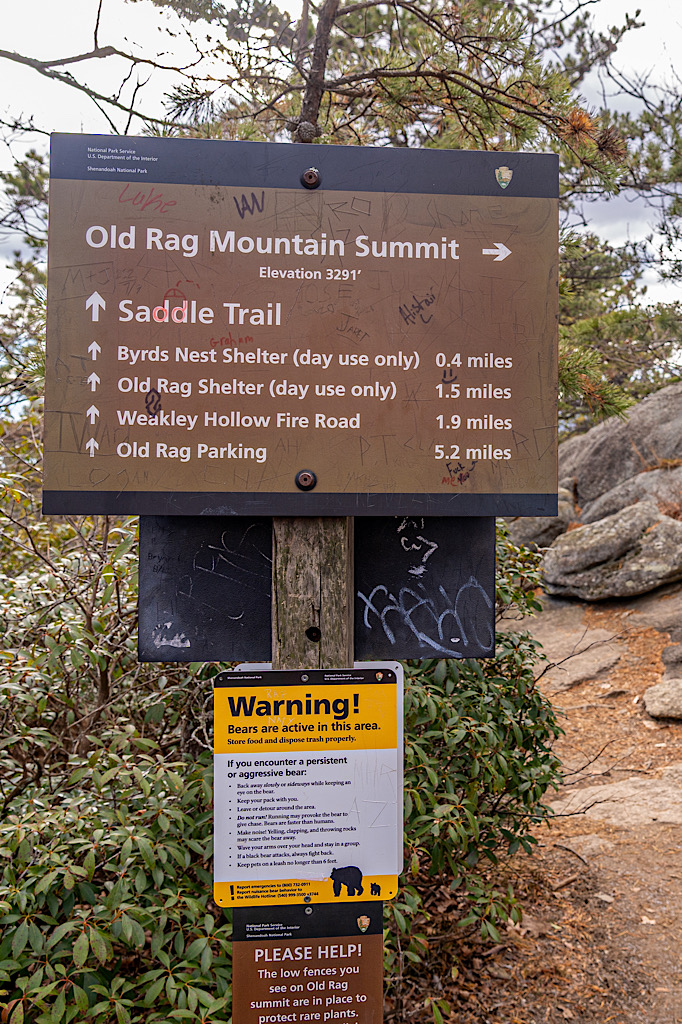 Old Rag Mountain trail sign pointing towards the direction of Old Rag's summit.