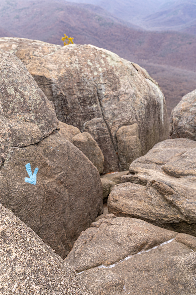 Blue arrow painted on a rock pointing down towards a narrow opening along the Old Rag Rock Scramble.