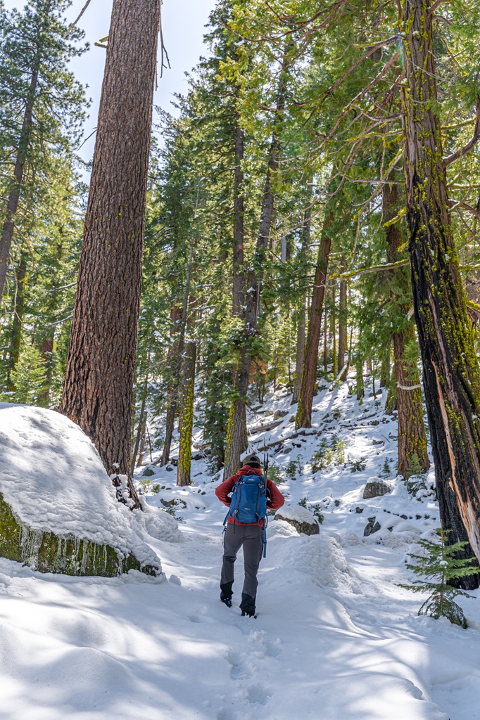 Man hiking along the snow-covered Panorama Trail in winter.