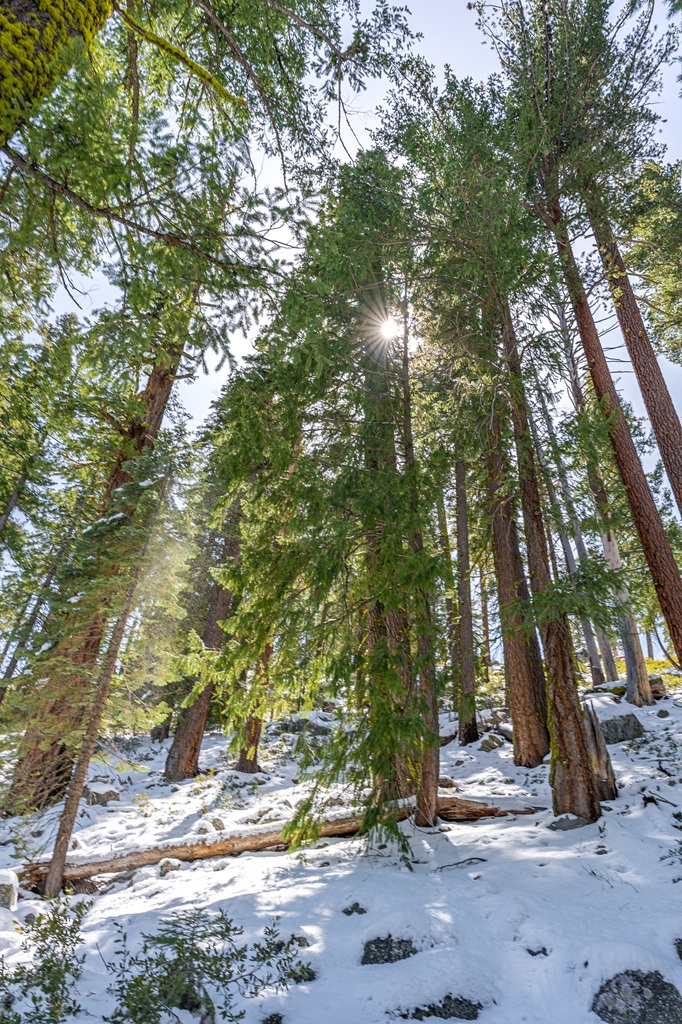 Panorama Trail covered in snow in winter in Yosemite National Park.