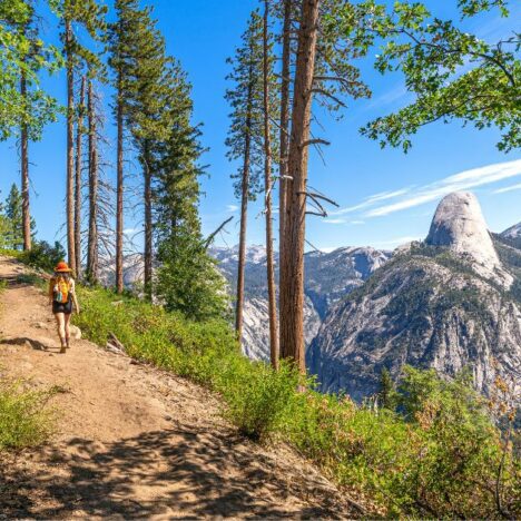 Is Tioga Pass Open? Plan an Epic Trip with This Guide (2025)