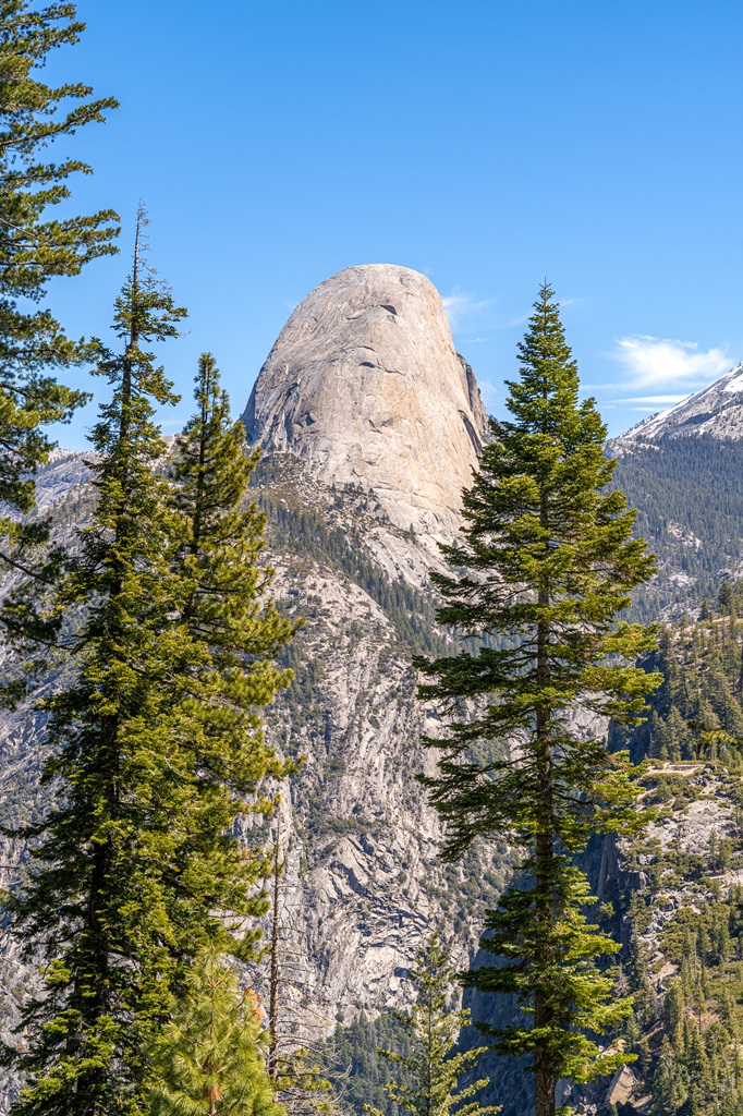 View of Half Dome between pine trees seen from the Panorama Trail in Yosemite National Park.