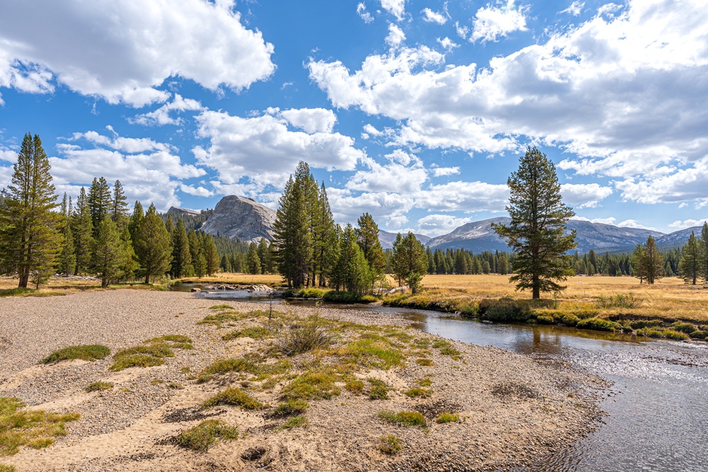 View of Tuolumne Meadows with Lembert Dome in the background in Yosemite National Park.