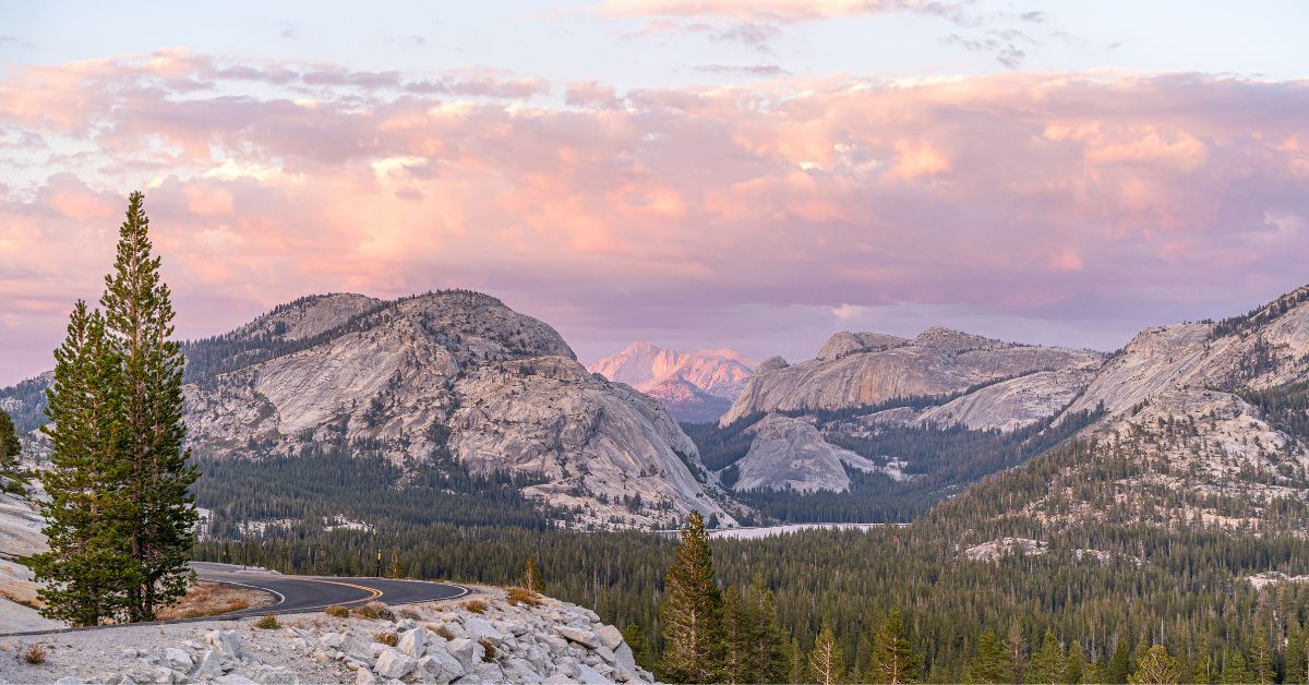 Is Tioga Pass open? Drive Tioga Road for an unforgettable experience!