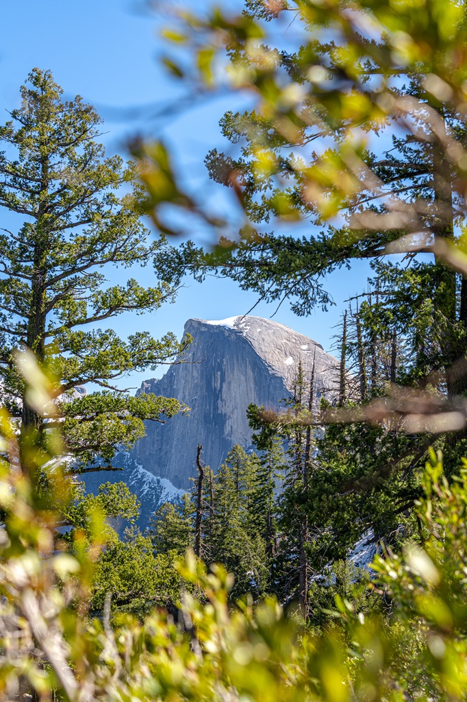 View of Half Dome from Union Point off Four Mile Trail in Yosemite National Park.