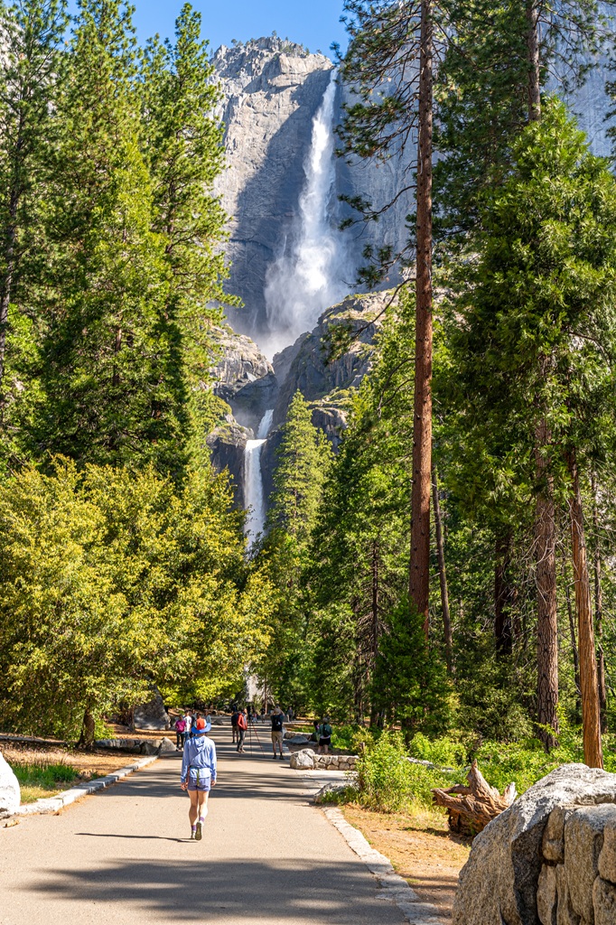 Woman hiking along the Lower Yosemite Fall Trail with Yosemite Falls in the background and other people walking along the trail in the distance.