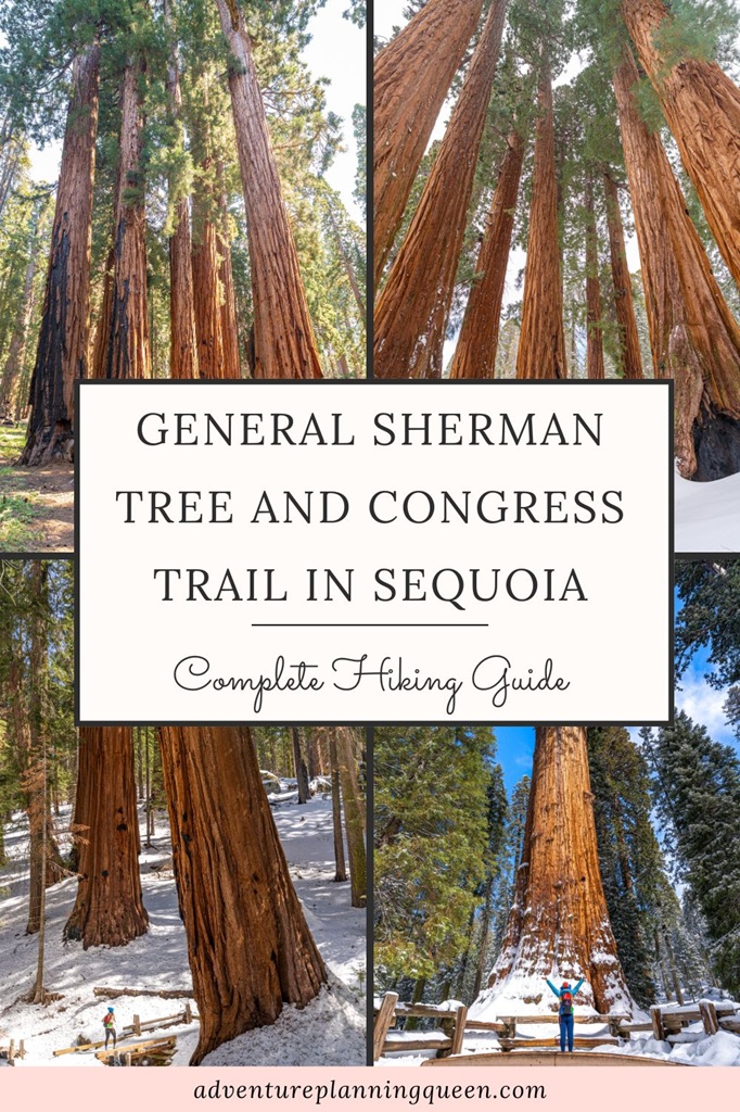 This blog post is a complete guide to hiking the General Sherman Tree Trail and Congress Trail in Sequoia National Park.