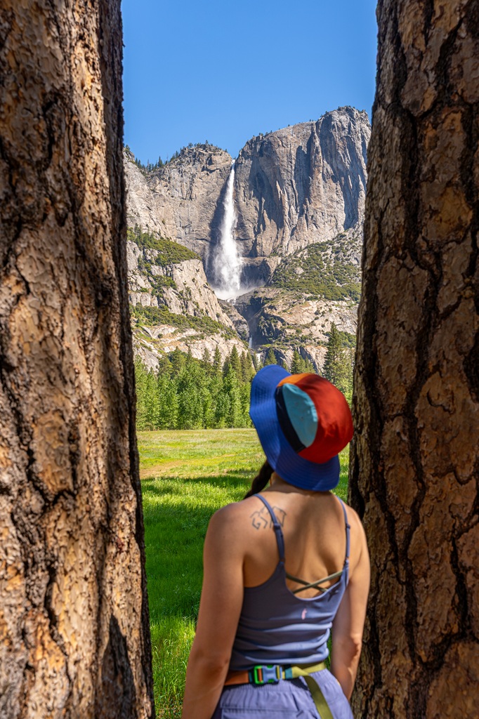 Woman standing in between trees with Yosemite Falls and a meadow in the background.