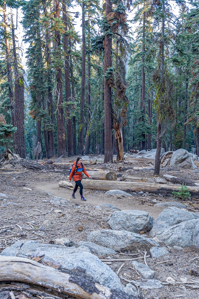Woman hiking along the Alta Peak Trail in Sequoia National Park.