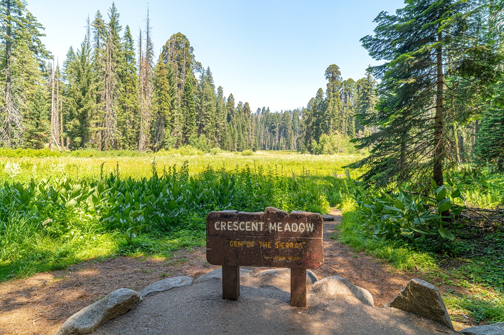 Crescent Meadow wooden sign with Crescent Meadow in the background in Sequoia National Park.