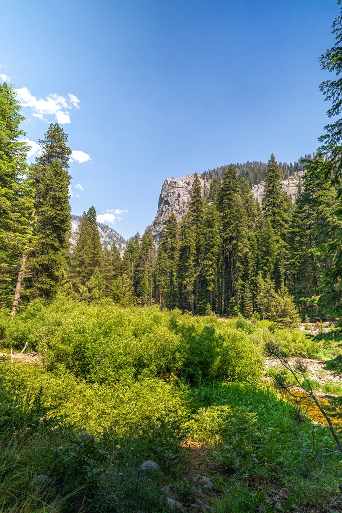 Meadow and the Watchtower seen from Tokopah Falls Trail.