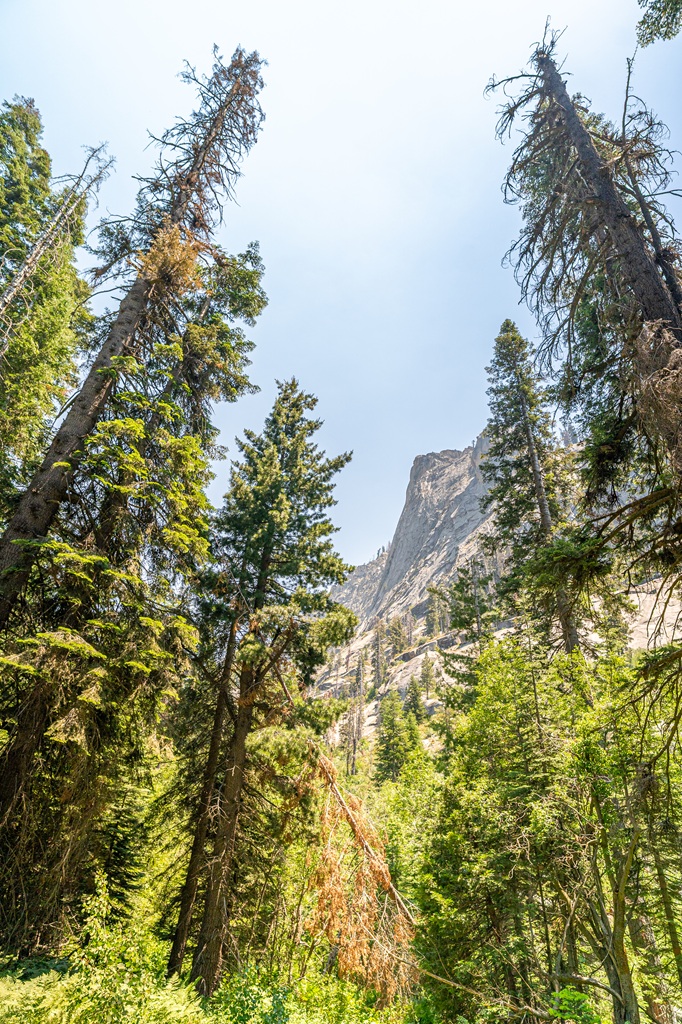 View of the Watchtower through pines trees along the Tokopah Falls Trail.