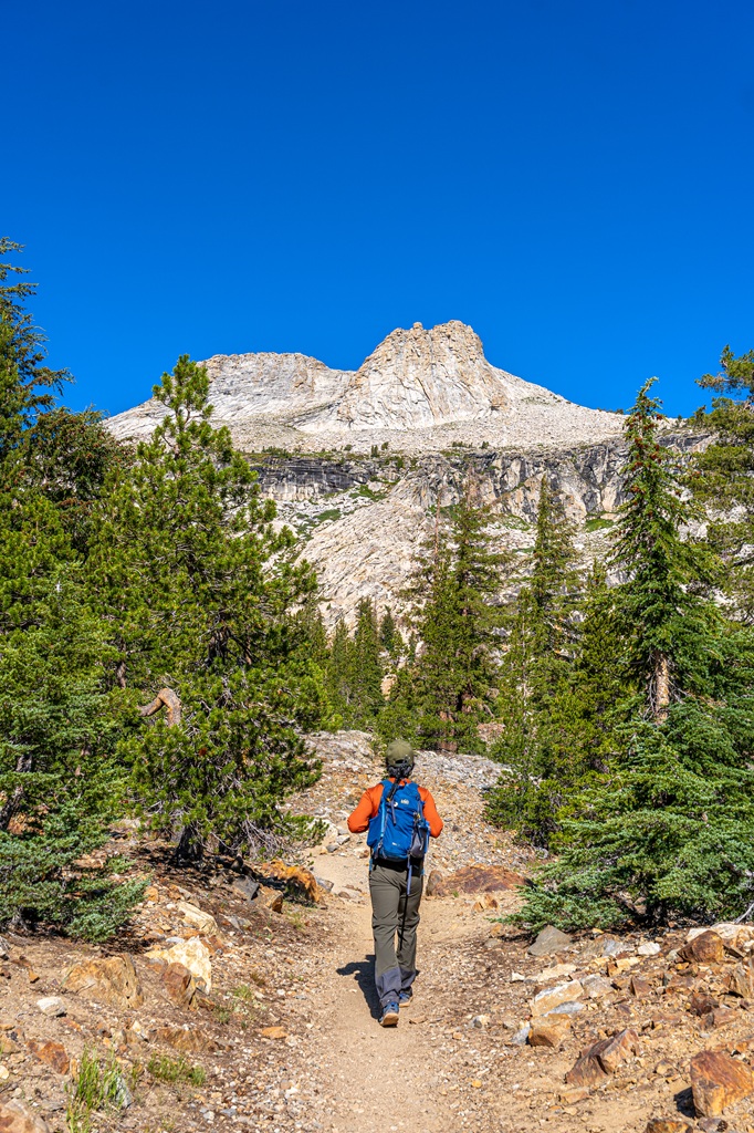 Man hiking along the Mount Hoffmann Trail in Yosemite National Park.