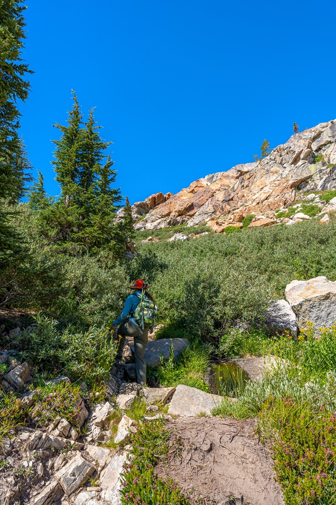 Woman hiking along the Mount Hoffmann Trail in Yosemite National Park.