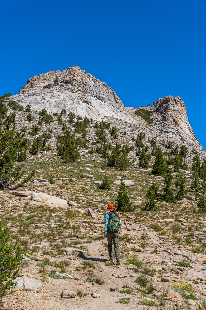 Mount Hoffmann Trail in Yosemite National Park.