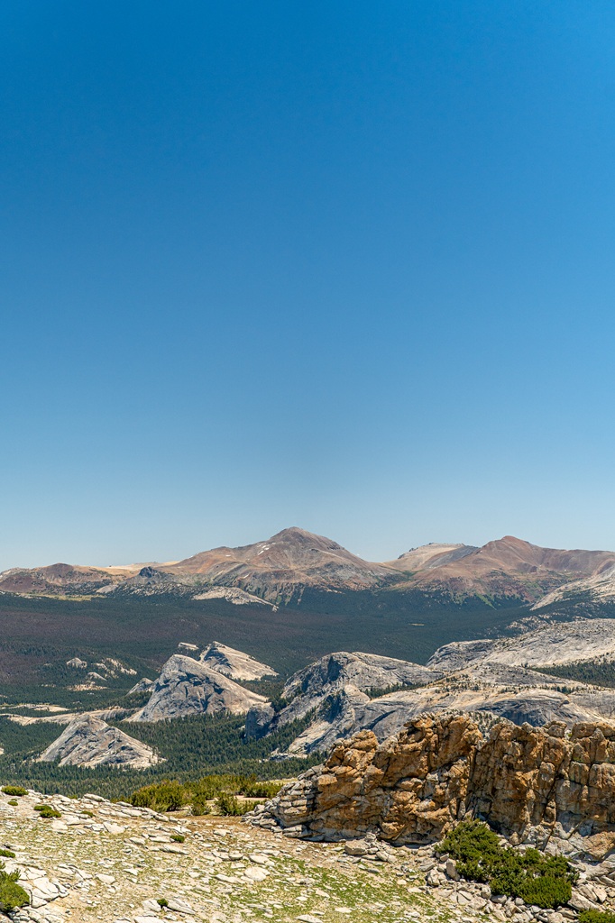 Mount Dana seen from Mount Hoffmann in Yosemite National Park.