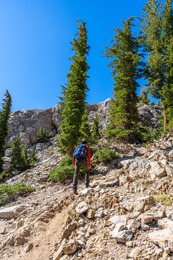 Man hiking along the Mount Hoffmann Trail in Yosemite.